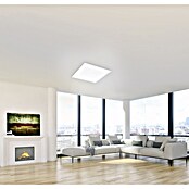 Tween Light LED panel  (36 W, D x Š x V: 60 x 60 x 5 cm, Bijele boje, Raznobojno) | BAUHAUS