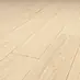 Smeđa