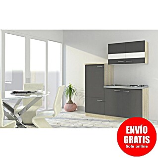 Respekta Cocina compacta Luis (Ancho: 160 cm, Gris, Placa de cocción y frigorífico)