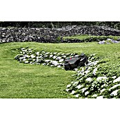 Segway Robotska kosilnica Navimow X450 AWD EU  (5.000 m², Širina reza: 43 cm, Satelitska navigacija, RTK) | 7261 - Mähroboter | IAEA - Rasenmäher | IAE - Gartenmotorgeräte | IA - Gartenhartware | I - Stadtgarten | BAUHAUS