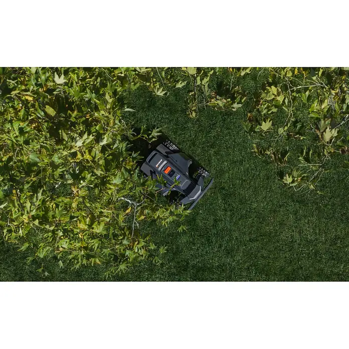 Segway Mähroboter Navimow X450 - 5.000 m², Schnittbreite: 43 cm, Satellitengestützte Navigation, RTK - Dunkelgrauer Mähroboter mit orangefarbenen Akzenten, mäht grünen Rasen nahe üppigem Laub.