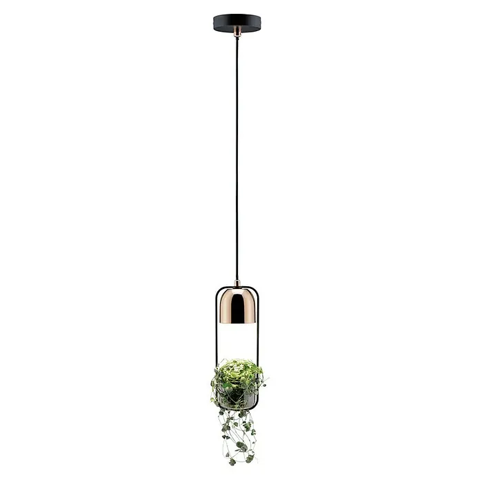 Paulmann Fanja Pendelleuchte - 20 W, Schwarz/Kupfer, GU10 - Elegante Pendelleuchte mit Topfpflanze und durchsichtigem, kristallartigem Behang. Das Design ist modern und stilvoll.