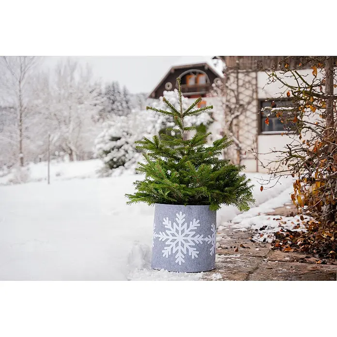 Windhager Dekoartikel Tropfschutz Schneeflocke - Grau, Frostschutz, Länge: 40 cm, Rund - Kleiner Weihnachtsbaum in einem grauen Filz-Pflanztopf mit weißem Schneeflockenmuster, draußen im Schnee als festliche Dekoration.
