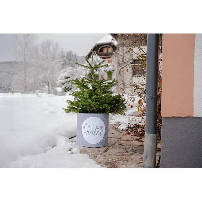 Windhager Dekoartikel Topfschutz Hello Winter - Grau, Frostschutz, Länge: 40 cm, Rund - Eine kleine Tanne im runden grauen Filztopf mit „Hello winter“-Aufschrift, im Schnee neben einem Gebäude.