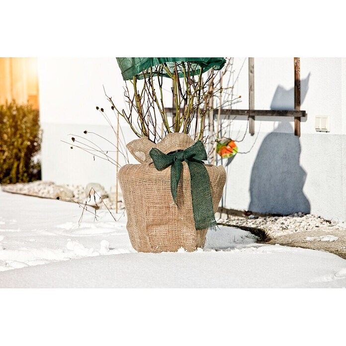 Windhager Jute-Gewebematte Wickelstreifen (L x B: 25 m x 10 cm, Grün)