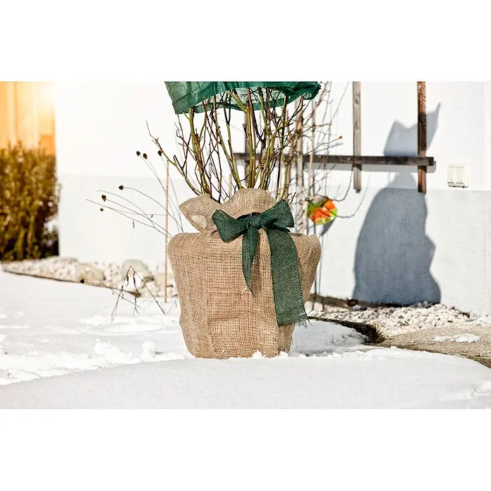 Windhager Jute-Gewebematte - L x B: 25 m x 10 cm, Moosgrün - Pflanzenschutz aus Jute mit grüner Schleife im Schnee.