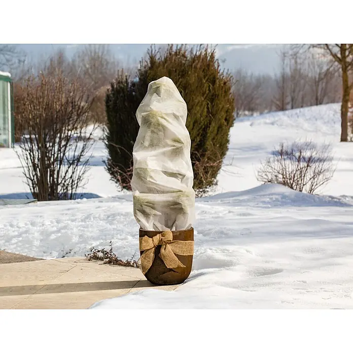 Windhager Winterschutzvlies Protect - B x L: 1,5 x 5 m, Weiß, 30 g/m² - Topfpflanze in weißem Frostschutzvlies mit Juteschleife auf verschneiter Terrasse.