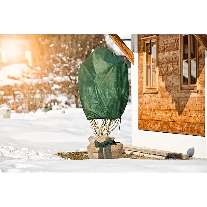 Windhager Winterschutzvlies - B x H: 75 cm x 1 m, Grün, Grammatur: 30 g/m², 3 Stk. - Grüner Vlies-Pflanzenschutz und Jute-Topfumwicklung schützen eine Pflanze im verschneiten Garten neben einem Holzhaus.