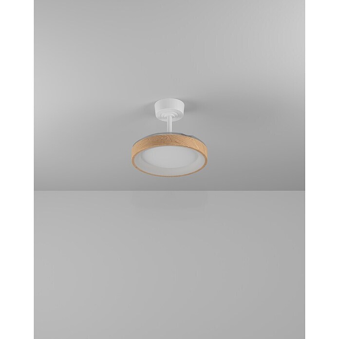Eglo Deckenventilator Torreya (Weiß, Eiche, 77 cm) | BAUHAUS