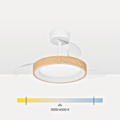 Eglo Deckenventilator Torreya (Weiß, Eiche, 77 cm) | BAUHAUS