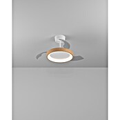 Eglo Deckenventilator Torreya (Weiß, Eiche, 77 cm) | BAUHAUS
