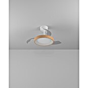 Eglo Deckenventilator Torreya (Weiß, Eiche, 77 cm) | BAUHAUS