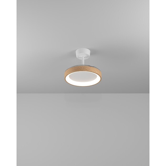 Eglo Deckenventilator Torreya (Weiß, Eiche, 77 cm) | BAUHAUS