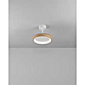 Eglo Deckenventilator Torreya (Weiß, Eiche, 77 cm) | BAUHAUS