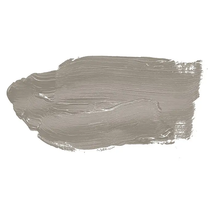 Livingwalls Wandfarbe Taupe Grey Pumpkin 1019 2,5l - Matt, 2,5 l - Dicke, texturierte Greige-Farbprobe.