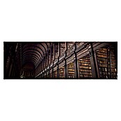 Impresión artística enmarca Long library (Biblioteca, 97 x 30 cm)