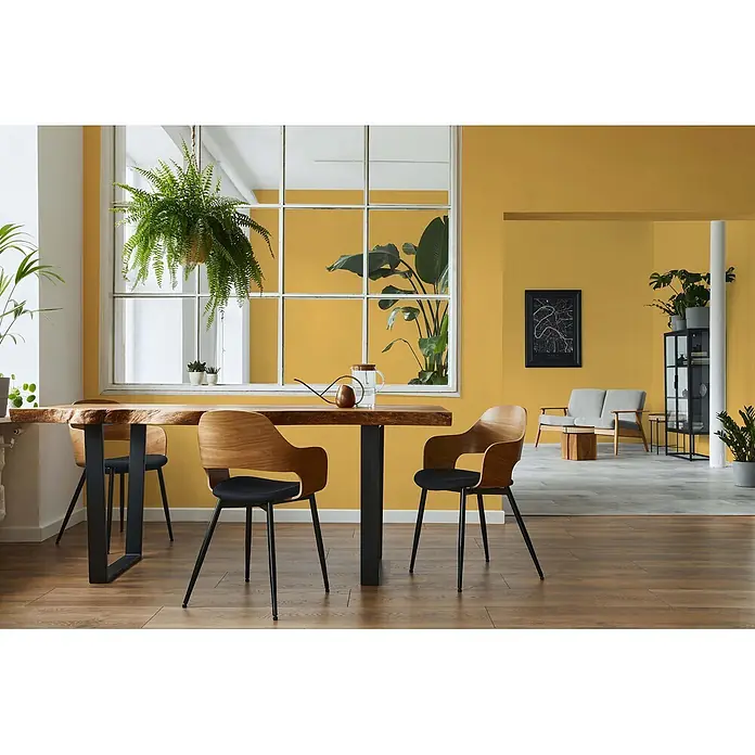 Livingwalls Wandfarbe Gelb Sunny Yellow DD126111 5l - Gelb, Matt, 5 l - Moderner Esstisch mit Holzplatte und schwarzen Metallbeinen, dazu zwei Holzstühle mit schwarzen Sitzen in einem hellen Wohnraum.
