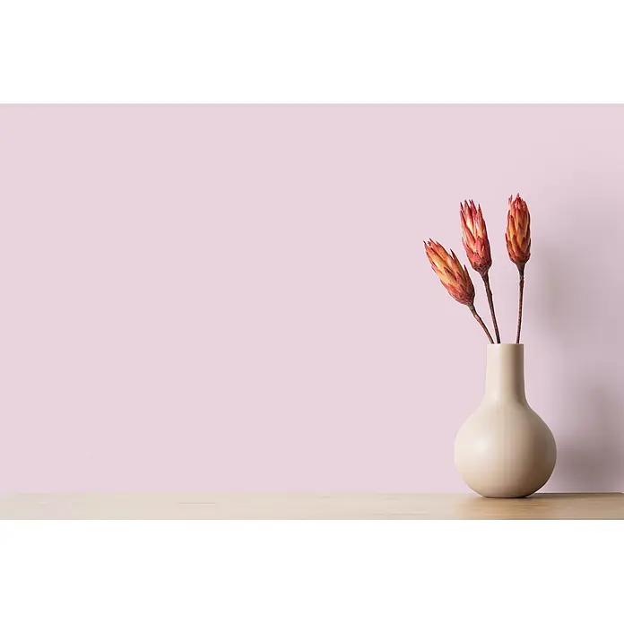 Livingwalls Wandfarbe Pink Milky Strawberry 2003 2,5l - Matt, 2,5 l - Beigefarbene Vase mit getrockneten roten und orangen Protea-Blüten auf heller Holzoberfläche.