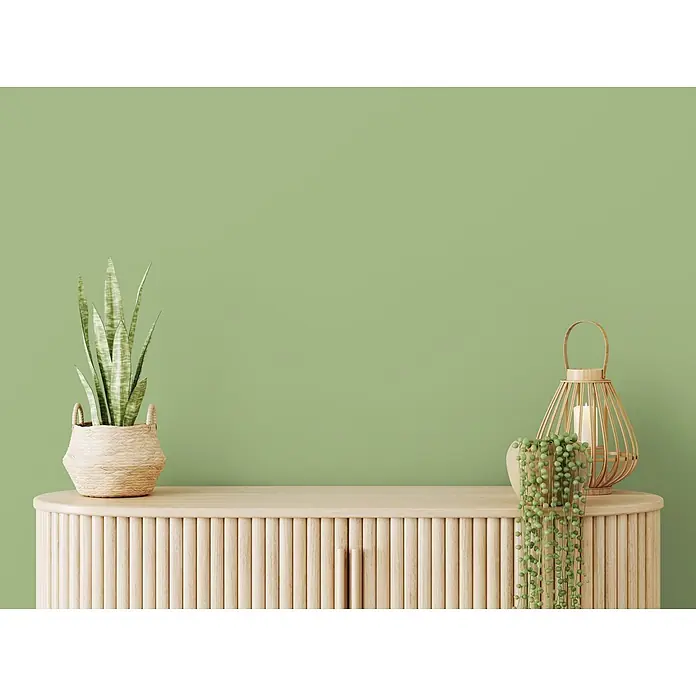 Livingwalls Wandfarbe Grün Green Grape 4008 5l - Matt, 5 l - Helles geriffeltes Holzschränkchen mit abgerundeten Ecken, darauf eine Schlangenpflanze, Erbsenpflanze und Holzlaterne mit Kerze.