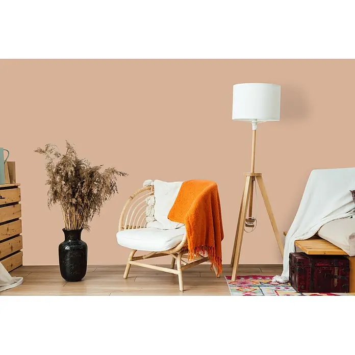 Livingwalls Wandfarbe Orange Lovely Lentil 6021 5l - Matt, 5 l - Warme beigefarbene Wand schafft eine gemütliche Atmosphäre in einem Wohnzimmer mit Rattan-Sessel, Stehlampe und getrocknetem Pampasgras.