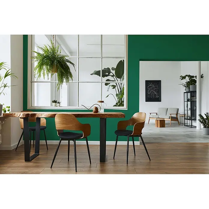 Livingwalls Wandfarbe Grün Sage Green DD125958 5l - Grün, Matt, 5 l - Moderner Esstisch aus Holz mit Baumkante und schwarzen Metallbeinen, dazu passende Holzstühle mit schwarzen Sitzen.