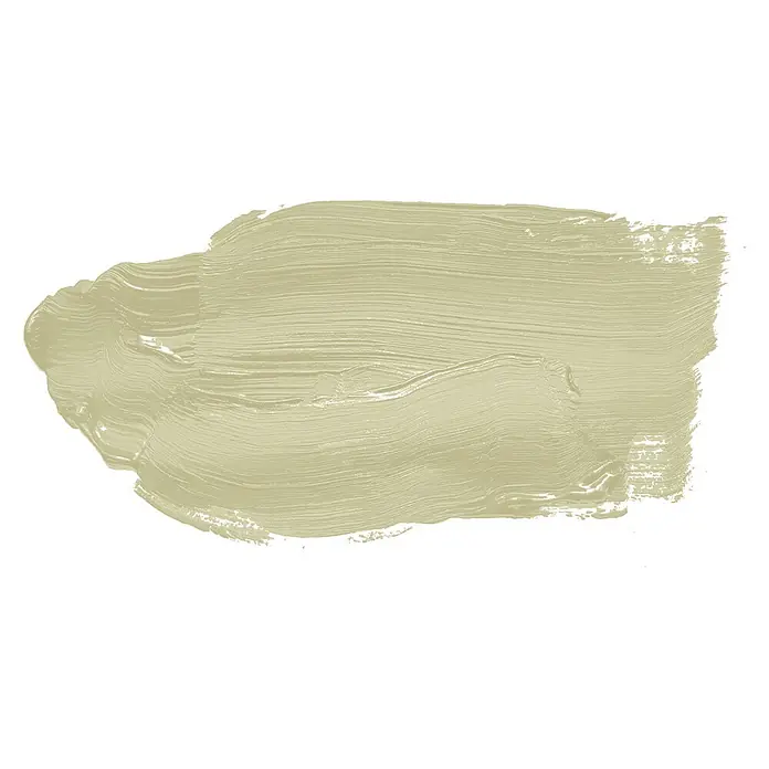 Livingwalls Wandfarbe Grün Warm Wasabi 4001 2,5l - Matt, 2,5 l - Heller olivgrüner Pinselstrich mit texturierten Bürstenabdrücken.