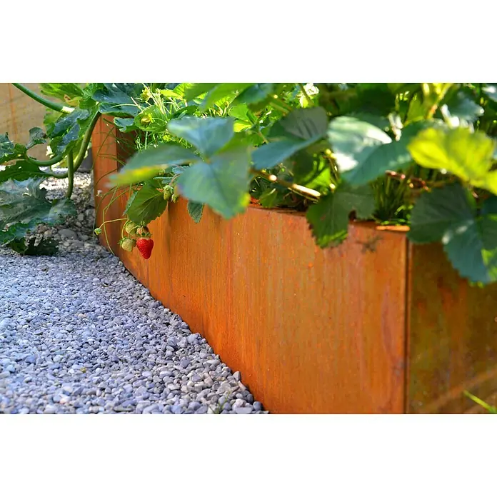Palatino Exclusive Line Pflanzkasten Carlotta - Außenmaß (L x B x H): 120 x 40 x 25 cm, Metall, Rotbraun - Rostfarbenes Beet mit Erdbeeren und grauen Steinen. Das Beet ist aus Metall und hat eine rustikale Optik.