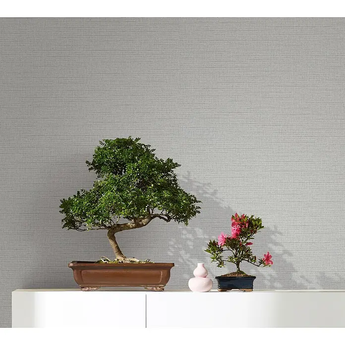 Livingwalls Vliestapete Uni, hellgrau -  - Graue strukturierte Wandverkleidung hinter zwei Bonsai-Bäumen auf einem weißen Regal.
