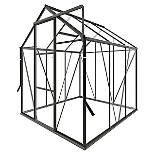 Kas Kate I Full Option pakket (Buitenmaat incl. dakoverstek (b x d): 192 x 192 cm, Materiaal zijwand: Glas, 3 mm, Groengrijs)