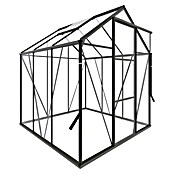 Kas Kate I Full Option pakket (Buitenmaat incl. dakoverstek (b x d): 192 x 192 cm, Materiaal zijwand: Glas, 3 mm, Groengrijs) | BAUHAUS