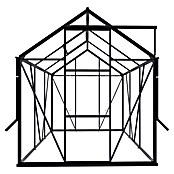Kas Kate I Full Option pakket (Buitenmaat incl. dakoverstek (b x d): 192 x 192 cm, Materiaal zijwand: Glas, 3 mm, Zwart) | BAUHAUS