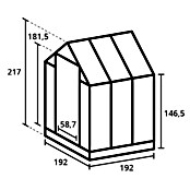 Kas Kate I Full Option pakket (Buitenmaat incl. dakoverstek (b x d): 192 x 192 cm, Materiaal zijwand: Glas, 3 mm, Zwart) | BAUHAUS