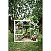 Kas Kate II Full Option pakket (Buitenmaat incl. dakoverstek (b x d): 192 x 253 cm, Materiaal zijwand: Glas, 3 mm, Wit) | BAUHAUS