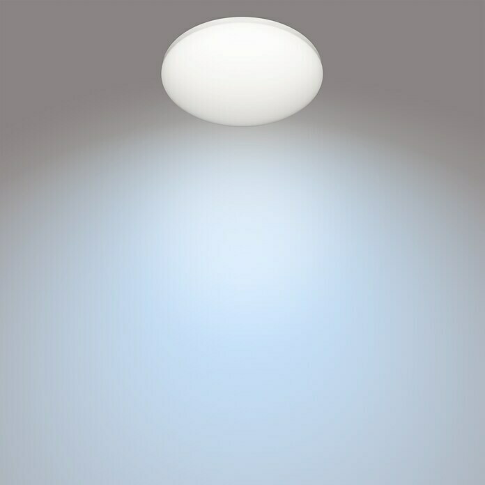 Philips Plafón LED redondo Zarpy (10 W, Blanco, Ø x Al: 25 x 8,1 cm)