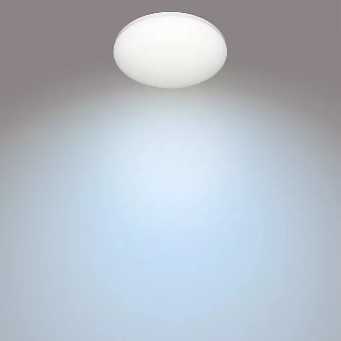 Philips Plafón LED redondo Zarpy - 10 W, Ø x Al: 250 mm x 8,1 cm, Blanco, Blanco neutro - Lámpara de techo redonda blanca que proyecta un suave resplandor.