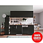 Respekta Composición de cocina (Ancho: 225 cm, Con placa de dos fuegos, Gris)