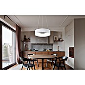Globo LED viseća svjetiljka Kemp  (45 W, Ø x V: 460 x 1.200 mm, Bijela, Topla bijela) | BAUHAUS