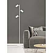 Globo Stajaća svjetiljka Robby  (5 W, Visina: 1.540 mm, Bijela, GU10) | BAUHAUS