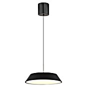 Globo LED viseća svjetiljka Silena  (24 W, Ø x V: 400 cm x 1.800 mm, Crna, Topla bijela) | BAUHAUS
