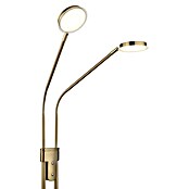Globo LED stajaća svjetiljka Silvio  (6,5 W, Visina: 1.730 mm, Žuta) | BAUHAUS