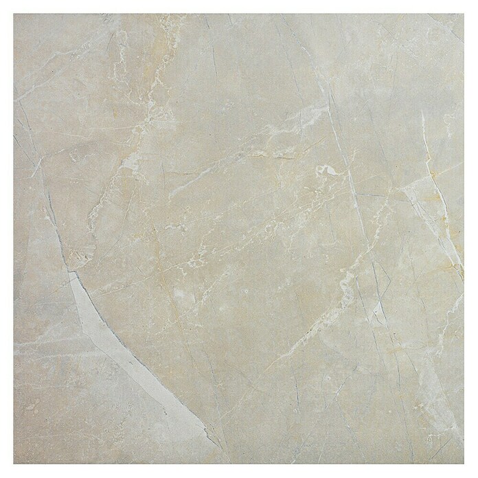 Feinsteinzeugfliese Premium Marble (60 x 60 cm, Beige/Braun, Poliert)