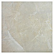 Feinsteinzeugfliese Premium Marble (60 x 60 cm, Beige/Braun, Poliert)