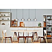 Globo LED viseća svjetiljka Belinda  (24 W, Ø x V: 15 x 150 cm, Crna) | BAUHAUS