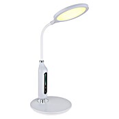 Globo Stolna LED svjetiljka Fruggy  (9 W, D x Š x V: 300 x 185 x 407 mm, Bijela) | BAUHAUS