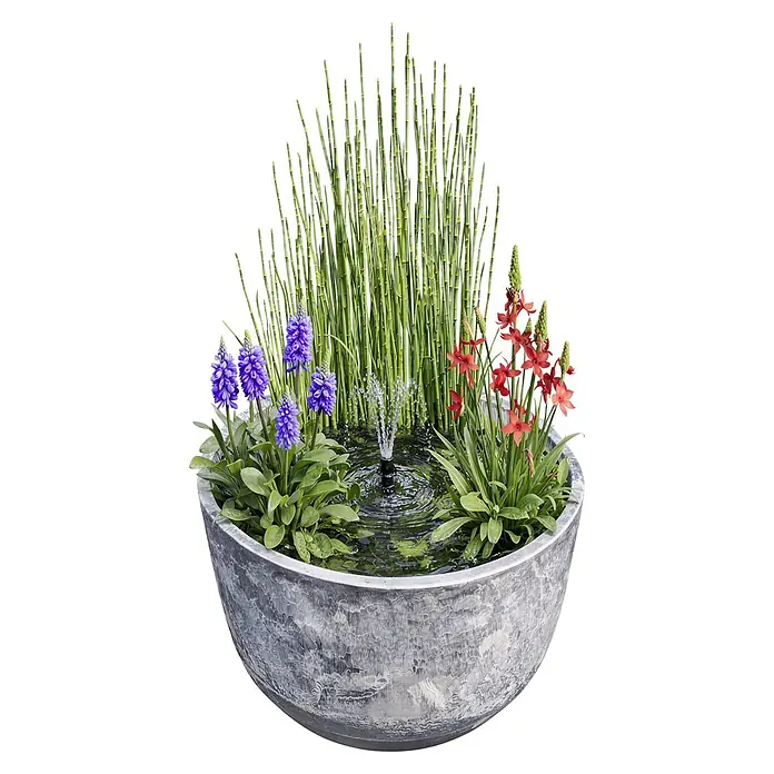 Heissner Zierbrunnen Solar Wassergarten Aquatopia - Hellgrau, Ø x H: 46 x 21 cm - Großer grauer strukturierter Schalenpflanzer mit Wasserfontäne, hohen grünen Pflanzen, lila und rot-orangen Blumen.
