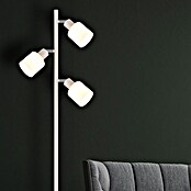 Globo Stajaća svjetiljka Trent  (25 W, Visina: 1.610 mm, E14) | BAUHAUS