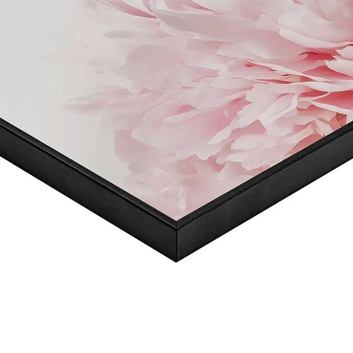 Reinders Bild Slim Frame Black - Hello Beautiful, B x H: 30 x 40 cm - Gerahmtes Bild mit schwarzem Rahmen und rosa Pfingstrosenmotiv.
