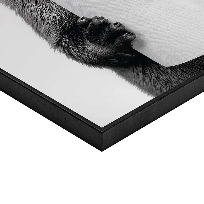 Reinders Bild Slim Frame Black - Holdem, B x H: 30 x 40 cm - Gerahmter Schwarz-Weiß-Druck einer pelzigen Tierpfote mit Krallen und Ballen auf weißer Oberfläche. Schwarzer Rahmen.