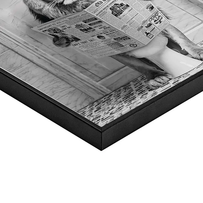 Reinders Bild Slim Frame Black - Lion Break, B x H: 50 x 50 cm - Gerahmter Druck mit schwarzem Rahmen, zeigt ein Schwarz-Weiß-Bild eines Löwen auf einer Toilette, der Zeitung liest.