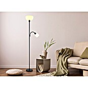 Globo Lámpara de pie Hinton (Negro, Altura: 178,7 cm, Portalámparas: E27) | BAUHAUS